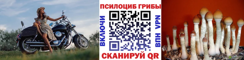 где купить наркоту  Сафоново  Псилоцибиновые грибы ЛСД 