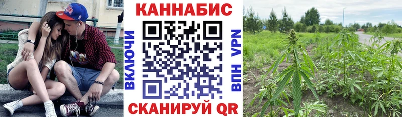 Бошки марихуана гибрид  Сафоново 